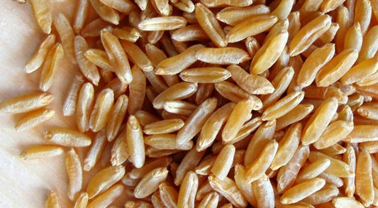 Ancient Grains vs Modern Wheat